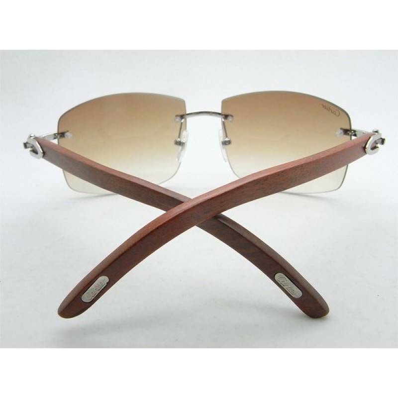 Cartier 4189705 Wood Sunglasses In Silver Brown