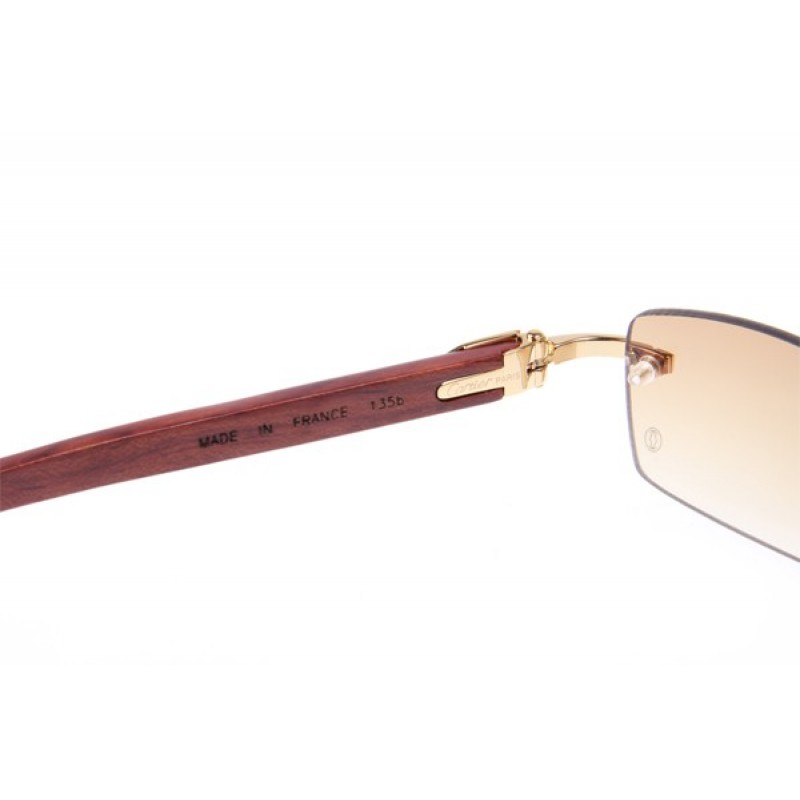 Cartier 3524013 Wood Sunglasses In Gold