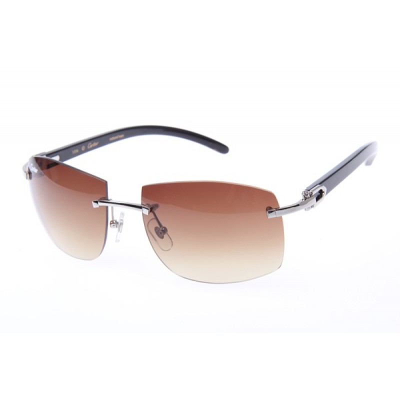 Cartier 4189705 Black Cattle Horn sunglasses in Si...