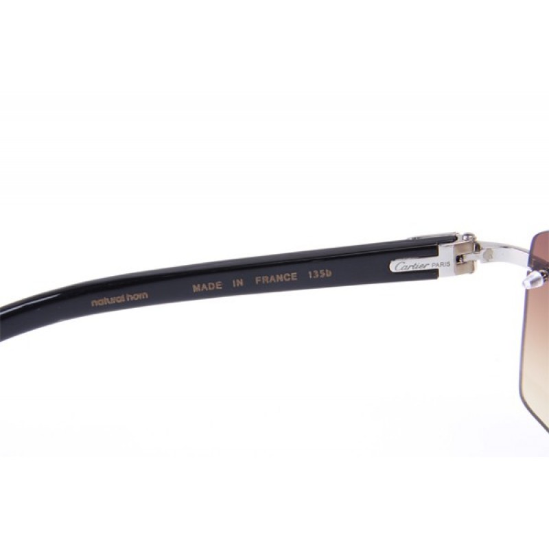 Cartier 4189705 Black Cattle Horn sunglasses in Silvler