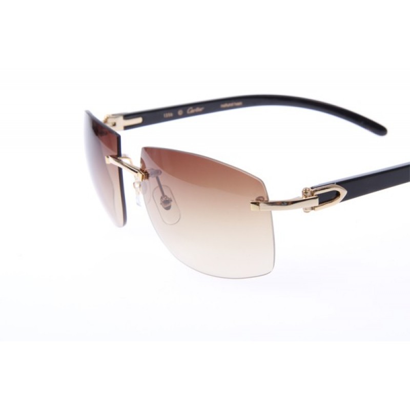 Cartier 4189705 Black Cattle Horn sunglasses in Gold