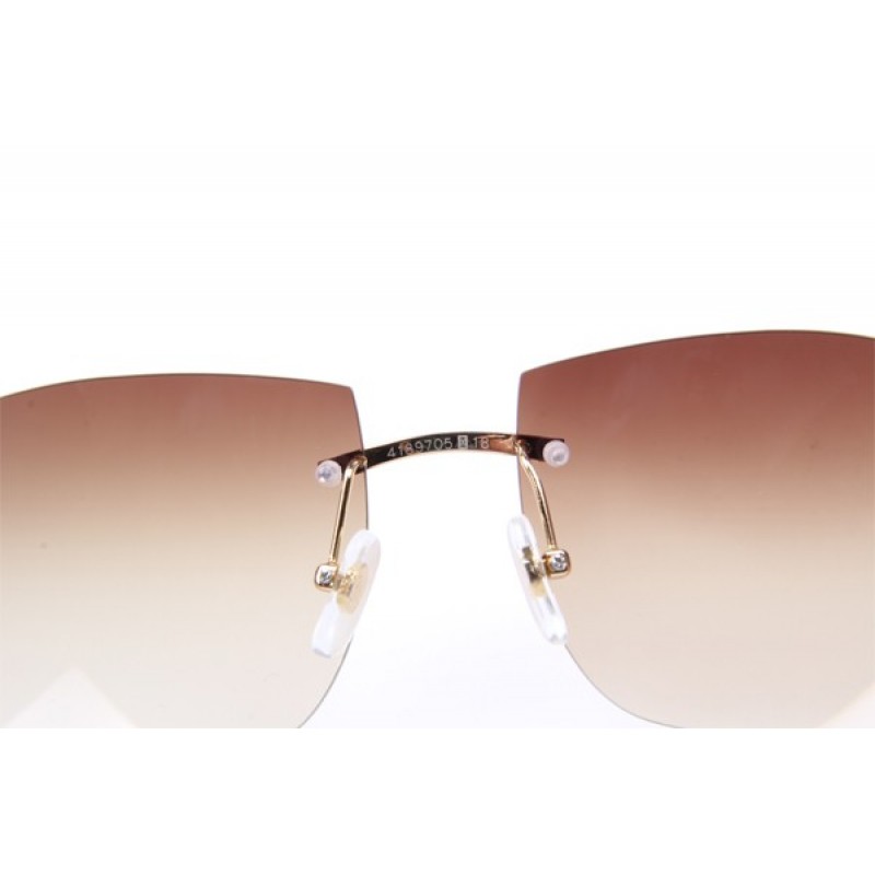 Cartier 4189705 Black Cattle Horn sunglasses in Gold