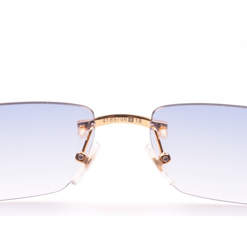 Cartier 4189706 Black Buffalo Sunglasses In Gold Blue