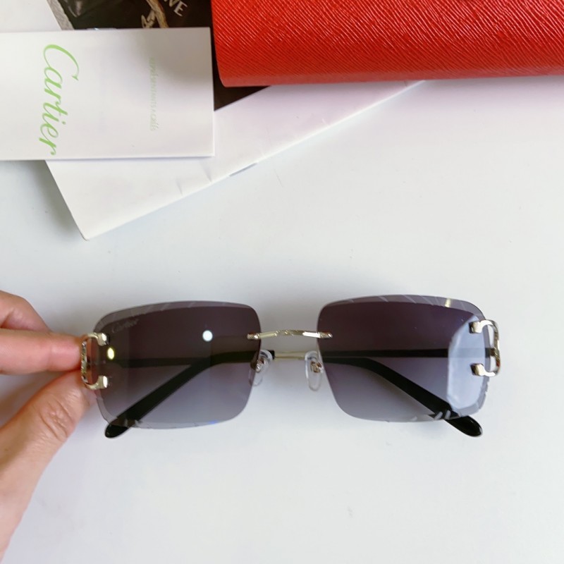 Cartier CT0092 Sunglasses In Silver Gray