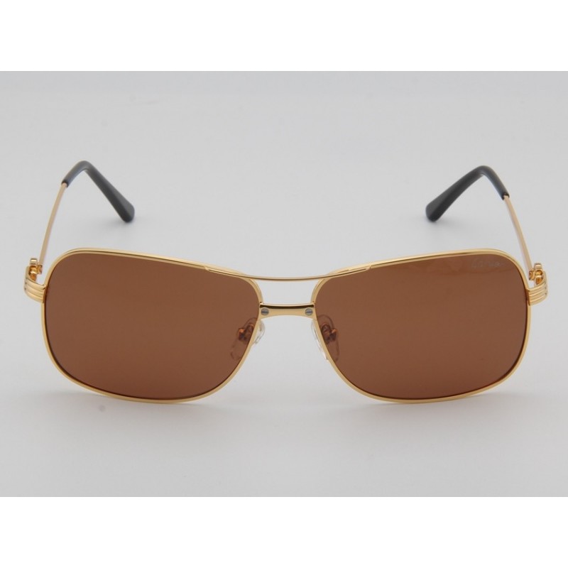 Cartier ESW00081 Sunglasses In Gold