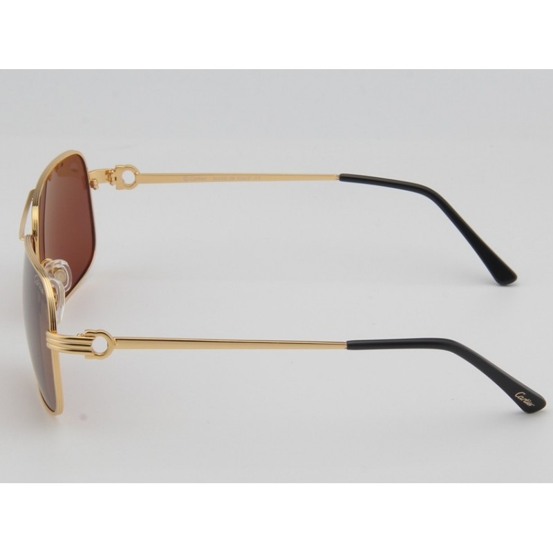 Cartier ESW00081 Sunglasses In Gold