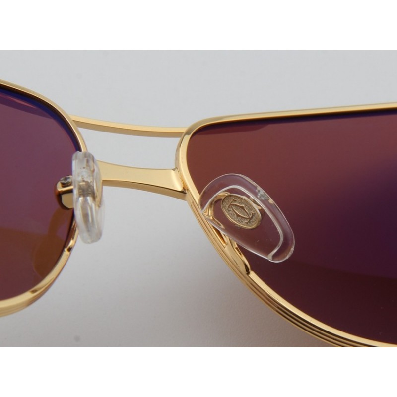 Cartier ESW00081 Sunglasses In Gold