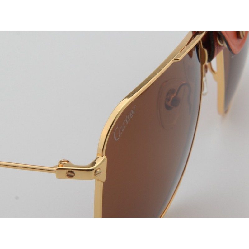 Cartier ESW00276 Sunglasses In Gold