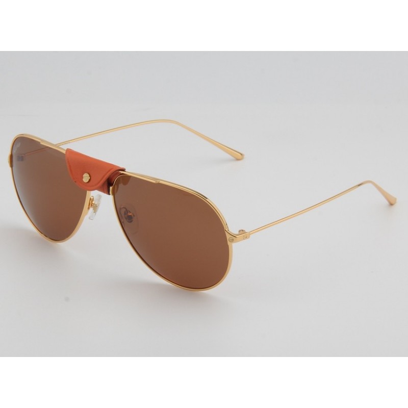 Cartier ESW00272 Sunglasses In Gold