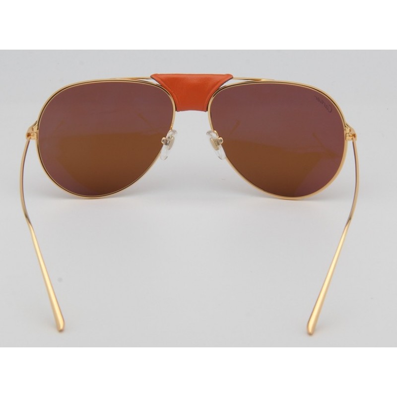 Cartier ESW00272 Sunglasses In Gold