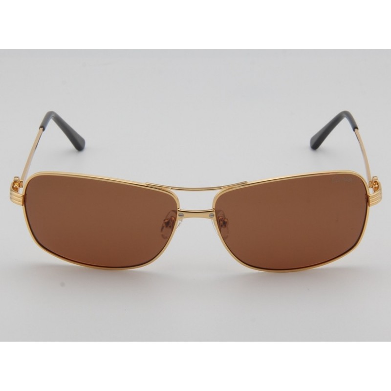 Cartier ESW00086 Sunglasses In Gold