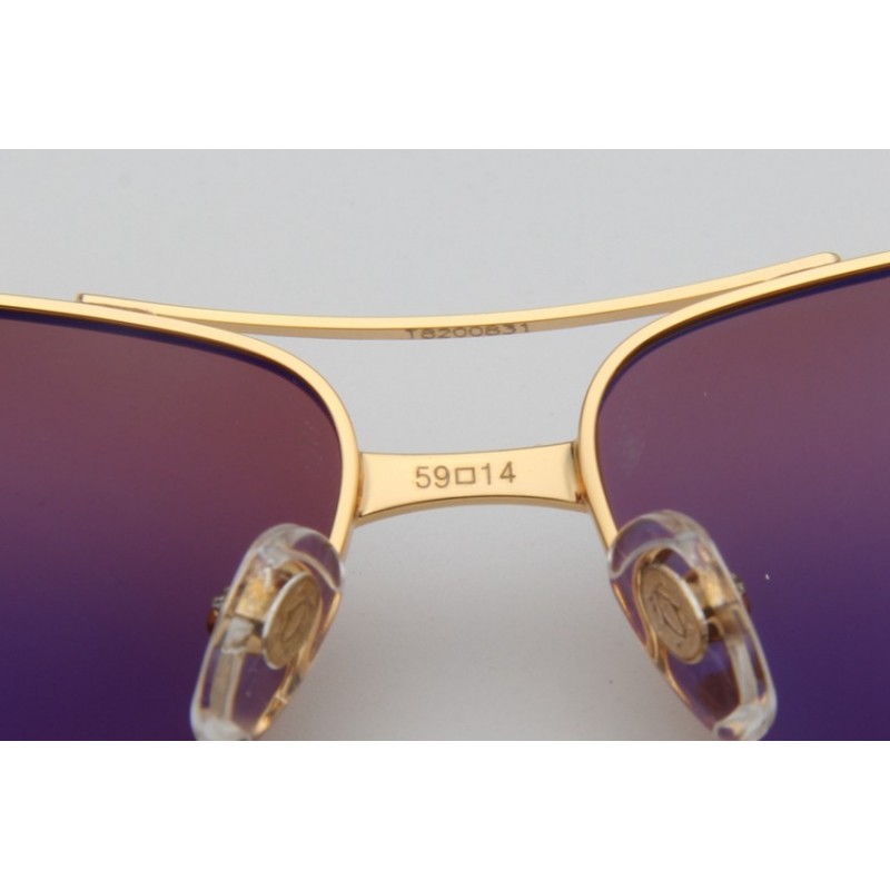 Cartier T8200831 Wooden Sunglasses In Coffee Gold