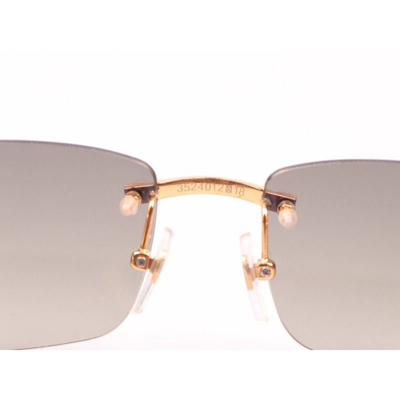 Cartier 3524012 white Buffalo Sunglasses In Gold Grey