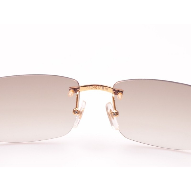 Cartier 3524012 Black Buffalo Sunglasses In Gold Grey