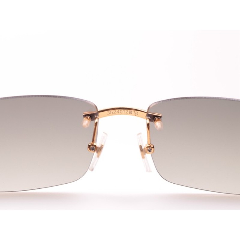 Cartier 3524012 Wood Sunglasses In Gold Grey